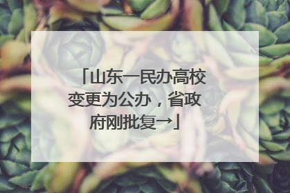 山东一民办高校变更为公办，省政府刚批复→