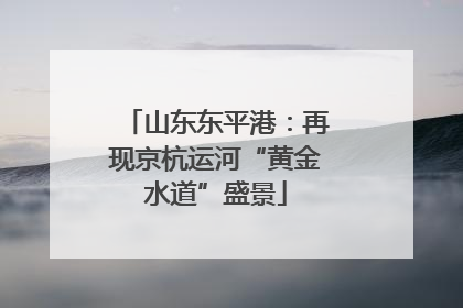 山东东平港：再现京杭运河“黄金水道”盛景
