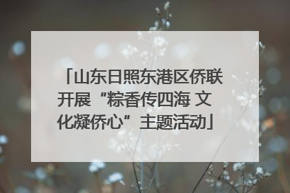 山东日照东港区侨联开展“粽香传四海 文化凝侨心”主题活动