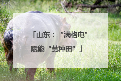 山东：“满格电”赋能“慧种田”