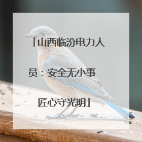 山西临汾电力人员：安全无小事 匠心守光明