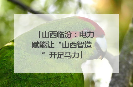山西临汾：电力赋能让“山西智造”开足马力