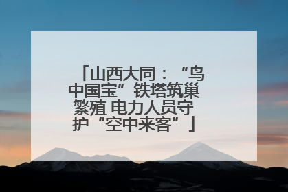 山西大同：“鸟中国宝”铁塔筑巢繁殖 电力人员守护“空中来客”
