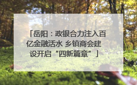 岳阳：政银合力注入百亿金融活水 乡镇商会建设开启“四新篇章”