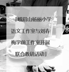 峨眉山杨丽小学语文工作室与刘春梅学前工作室开展联合教研活动