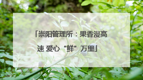 崇阳管理所：果香漫高速 爱心“鲜”万里