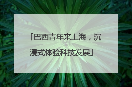 巴西青年来上海，沉浸式体验科技发展