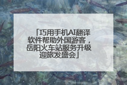 巧用手机AI翻译软件帮助外国游客，岳阳火车站服务升级迎旅发盛会