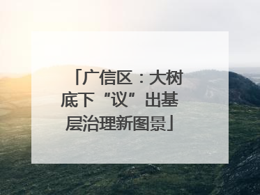 广信区：大树底下“议”出基层治理新图景