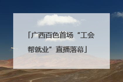 广西百色首场“工会帮就业”直播落幕