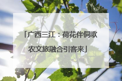 广西三江：荷花伴侗歌 农文旅融合引客来