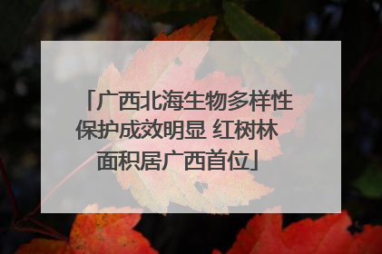 广西北海生物多样性保护成效明显 红树林面积居广西首位