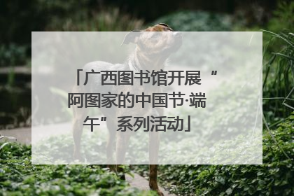 广西图书馆开展“阿图家的中国节·端午”系列活动