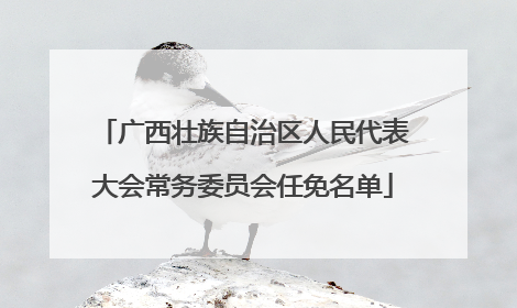 广西壮族自治区人民代表大会常务委员会任免名单