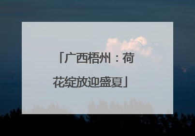 广西梧州：荷花绽放迎盛夏