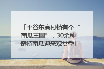 平谷东高村镇有个“南瓜王国”，30余种奇特南瓜迎来观赏季