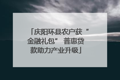 庆阳环县农户获“金融礼包” 普惠贷款助力产业升级