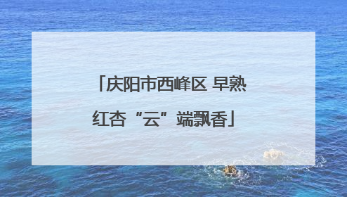 庆阳市西峰区 早熟红杏“云”端飘香