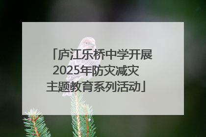 庐江乐桥中学开展2025年防灾减灾主题教育系列活动