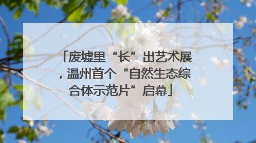 废墟里“长”出艺术展，温州首个“自然生态综合体示范片”启幕