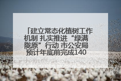 建立常态化植树工作机制 扎实推进“绿满陇原”行动 市公安局预计年底前完成1402亩绿化任务
