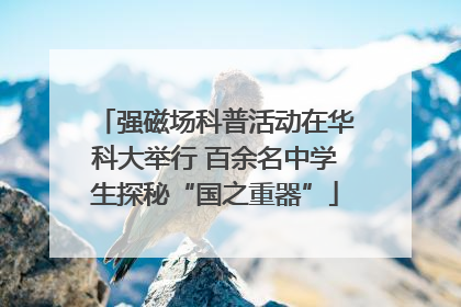 强磁场科普活动在华科大举行 百余名中学生探秘“国之重器”