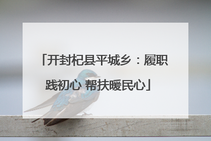 开封杞县平城乡：履职践初心 帮扶暖民心