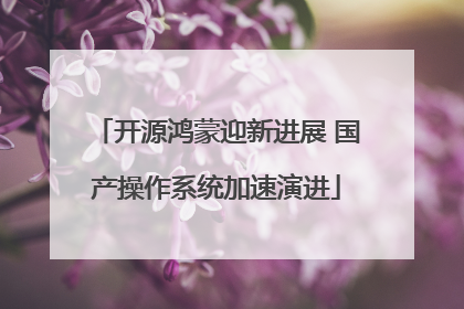 开源鸿蒙迎新进展 国产操作系统加速演进