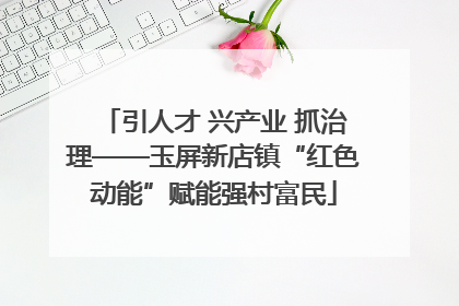 引人才 兴产业 抓治理——玉屏新店镇“红色动能”赋能强村富民