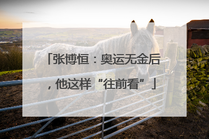 张博恒：奥运无金后，他这样“往前看”
