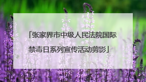 张家界市中级人民法院国际禁毒日系列宣传活动剪影