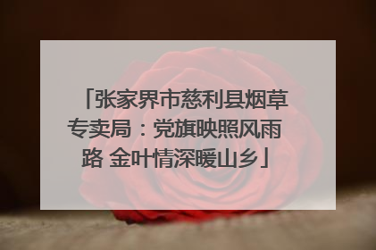 张家界市慈利县烟草专卖局：党旗映照风雨路 金叶情深暖山乡