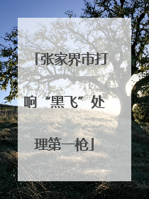 张家界市打响“黑飞”处理第一枪