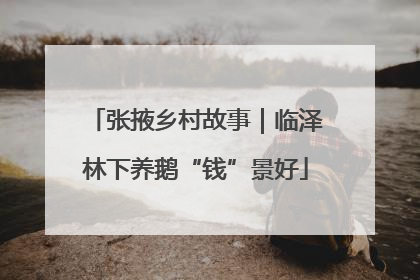 张掖乡村故事｜临泽林下养鹅“钱”景好