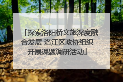 探索洛阳桥文旅深度融合发展 洛江区政协组织开展课题调研活动
