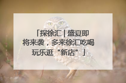 探徐汇 | 盛夏即将来袭，多来徐汇吃喝玩乐逛“新店”