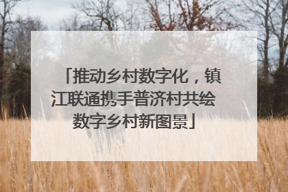 推动乡村数字化，镇江联通携手普济村共绘数字乡村新图景