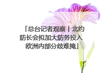 总台记者观察丨北约防长会拟加大防务投入 欧洲内部分歧难掩