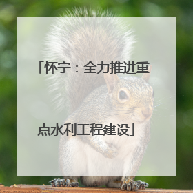 怀宁：全力推进重点水利工程建设