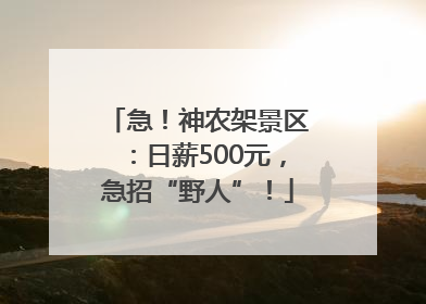 急！神农架景区：日薪500元，急招“野人”！