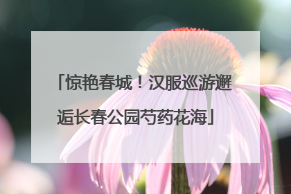 惊艳春城！汉服巡游邂逅长春公园芍药花海