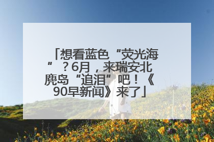想看蓝色“荧光海”？6月，来瑞安北麂岛“追泪”吧！《90早新闻》来了