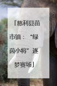 慈利县苗市镇：“绿茵小将”逐梦赛场