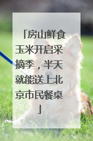 房山鲜食玉米开启采摘季，半天就能送上北京市民餐桌