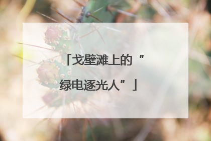 戈壁滩上的“绿电逐光人”
