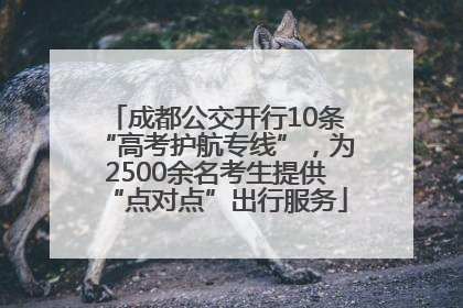 成都公交开行10条“高考护航专线”，为2500余名考生提供“点对点”出行服务