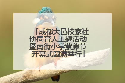 成都大邑校家社协同育人主题活动暨南街小学紫藤节开幕式圆满举行