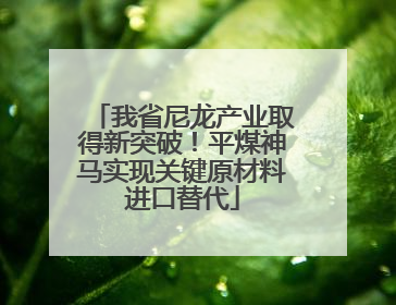我省尼龙产业取得新突破！平煤神马实现关键原材料进口替代
