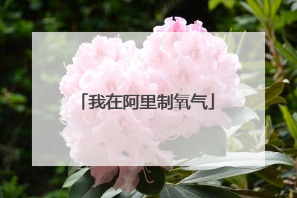 我在阿里制氧气