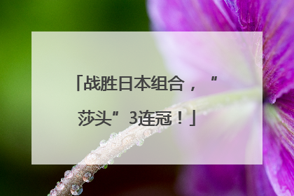 战胜日本组合，“莎头”3连冠！